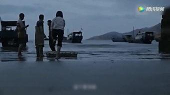 国产老纪录片视频大全,国产老纪录片视频大全精选回顾