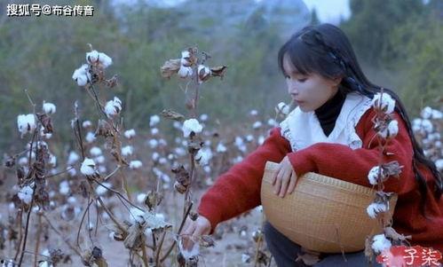 中国产棉花视频,从田间到世界的华丽蜕变