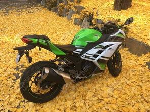 国产小忍者换锁视频,一招解锁，安全无忧