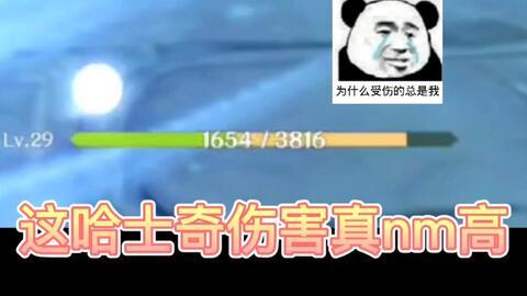 69国产AAA免费视频,揭秘热门影视作品背后的精彩瞬间