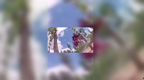 国产剧剪辑素材视频网站,重温经典，探索影视魅力