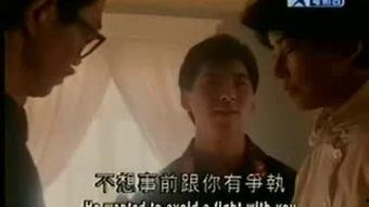 国产普通话a视频,探索中国影视新境界