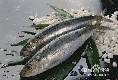 国产沙丁鱼可以吃吗视频,揭秘视频揭示美味奥秘 第3张 国产沙丁鱼可以吃吗视频,揭秘视频揭示美味奥秘 第3张