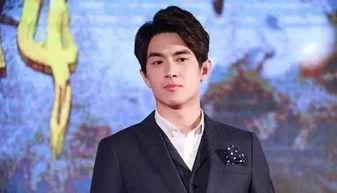 国产男明星视频,国产男星风采录  第2张