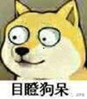 小狗憋屎视频动画片国产  第3张