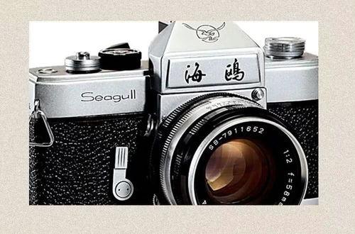 视频相机国产排名前十名,前十名国产品牌盘点  第2张