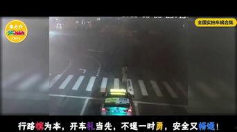 男人玩国产手机网站视频,揭秘男人沉迷的视觉盛宴  第2张