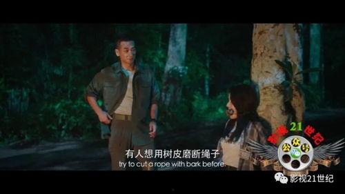国产动作视频在线观看,畅享视觉盛宴  第2张